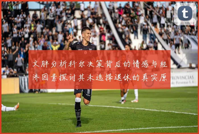 文胖分析科尔决策背后的情感与经济因素探讨其未选择退休的真实原因