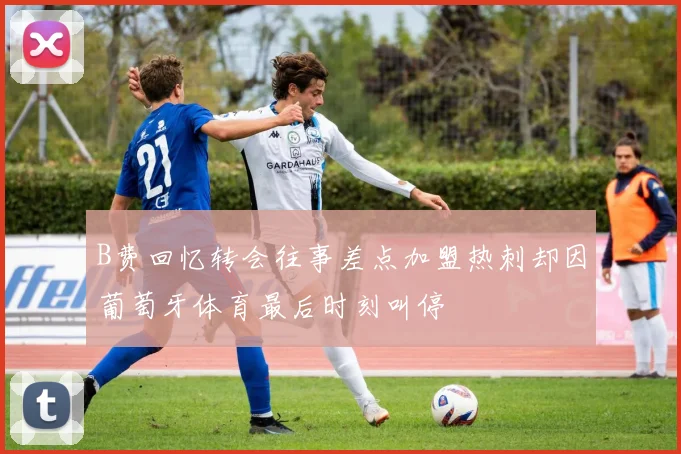 B费回忆转会往事差点加盟热刺却因葡萄牙体育最后时刻叫停